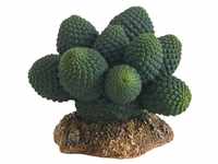 Hobby Atacama cactus 7 cm (37018)
