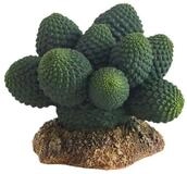 HOBBY Terrariendeko Kaktus Atacama, H&ouml;he 7 cm