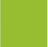 CLAIREFONTAINE Drucker- und Kopierpapier Clairefontaine CLAIRALFA PPP A4 80G 100BL