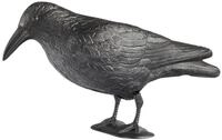 Windhager Vogelattrappe Crow, 39,5 x 12,5 x 12,5 cm, Vogel- und Taubenabwehr,...
