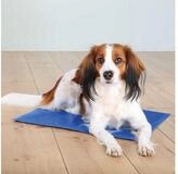 TRIXIE Tierbett K&uuml;hlmatte - blau/grau - 65 &times; 50 cm