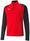 PUMA Langarmshirt Puma Herren Langarmshirt teamLIGA 1/4 Zip Top 657236