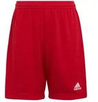 adidas Performance Trainingsshorts Entrada 22