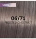 Wella Haarfarbe Wella ShineFinity Zero Lift Glaze 06/71 Frosted Chestnut 60ml