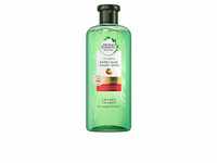 Herbal Haarshampoo Bio:Renew Extra Aloe Und Mango Conditioner 380ml