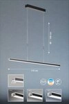 FISCHER & HONSEL Pendelleuchte FISCHER & HONSEL Pendelleuchte VITAN TW LB 115x7...