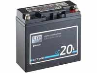 ECTIVE ECTIVE 12V 20Ah LiFePo4 Solar Batterie Lithium BMS Wohnmobil Camper...