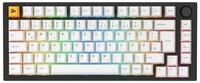 GLORIOUS Glorious GMMK Pro Pre-built Gaming Keyboard, LEDs RGB Gaming-Tastatur (1x