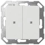GIRA Elektroauto-Ladestation Gira Taster Wippe 517303