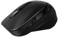 Asus ProArt Mouse MD300 Maus