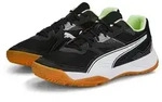 PUMA Hallen-Indoorschuhe Solarflash II schwarz Herren Badmintonschuh schwarz 44,5 EU