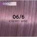 Wella Haarfarbe Wella ShineFinity Zero Lift Glaze 06/6 Cherry Wine 60ml