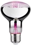 Paulmann LED Wachstumslicht-Filament / Grow Green Reflektor R80 E27 6.5W 1300K...