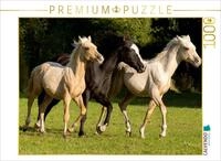 CALVENDO Puzzle CALVENDO Puzzle young Palomino stallions, 1000 pieces, finished...