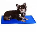 lionto Hundematte k&uuml;hlend, K&uuml;hlmatte selbstk&uuml;hlend, 90x50 cm, blau, wasser- &