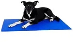 lionto Hundematte k&uuml;hlend, K&uuml;hlmatte selbstk&uuml;hlend, 100x60 cm, blau, wasser-...