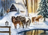 COPPENRATH DIE SPIEGELBURG Adventskalender Winterpferde, Wandkalender
