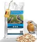 futterbauer Futterbauer 10kg Erdnusskerne teilblanchiert Vogelfutter, f&uuml;r: Vogel