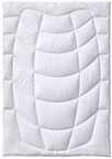 Sanders Kauffmann Naturhaarbettdecke Kamelhaarbettdecke Steppbett - Duo (Warm),