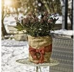 Windhager Wintervlies Windhager Jute-Wickelstreifen &Ouml;ko rot 10 cm x 25