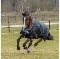 Bucas Pferde-Regendecke Bucas Anniversary Turnout Light SF 50g - Black/Silver