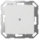 GIRA Elektroauto-Ladestation Gira Taster Wippe 517127