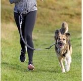 TRIXIE Joggingleine Bauchgurt mit Leine f&uuml;r mittelgro&szlig;e und gro&szlig;e Hunde -