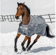Bucas Pferde-Thermodecke Bucas Smartex Turnout Extra Classic 300g - Iron Gate