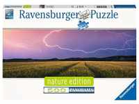 Ravensburger 17491