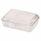 ROTHO Teedose Rotho Fun Vesperdose 0,9l mit herausnehmbarer Trennwand, Kunststoff,