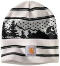 Carhartt Beanie 105450 (1-St)