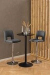ACTONA GROUP Barhocker Sylvia Barstuhl, H&ouml;henverstellbar, Chrom, Trompetenfu&szlig;,