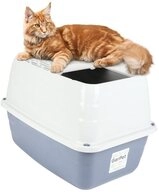 GarPet Katzentoilette Hop-In Katzenklo Katzentoilette Hoch oben Einstieg Top Entry