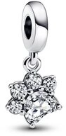 Pandora Charm-Einh&auml;nger 792247C01*, Hund, Pfote, Zirkonia, Tiere, Haustiere