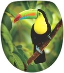 Sanilo WC-Sitz Toucan, mit Absenkautomatik, BxL: 37,7 x 42,0 - 47,0 cm