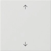 GIRA Klemmen Gira Wippe 1-fach 538903