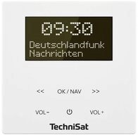 TechniSat DIGITRADIO UP 55 0001/3901 Radio (Inkl. Lautsprecherbox, Weckfunktion)