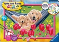 Ravensburger Malen nach Zahlen Kuschelpause, Made in Europe