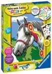 Ravensburger Malen nach Zahlen Classic Serie D Pferde Stolzes Turnierpferd 20063