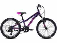 Fuji Bicycles Fuji Dynamite 20 (2022) purple
