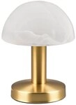 TRIO Leuchten Tischleuchte FYNN, 1-flammig, H 21 cm, Messingfarben, Wei&szlig;, ohne