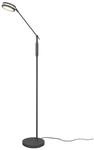 TRIO Leuchten LED Stehlampe, Dimmfunktion und Memory Funktion, LED fest...
