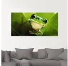 Artland Glasbild Aussp&auml;hender Frosch, Wassertiere (1 St), in verschiedenen...