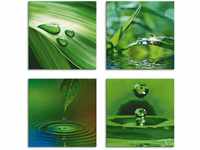 Artland Leinwandbild Blatt Gras Wassertropfen, Zen (4 St), 4er Set, verschiedene