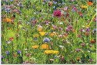 Artland Alu-Dibond-Druck Bunte Blumenwiese, Blumenwiese (1 St), f&uuml;r Innen- und