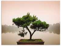 Artland Wandbild Chinesischer Bonsaibaum, Bäume (1 St), als Alubild,...