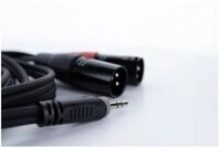 Cordial Cordial EY 3 WMM XLR Y-Adapter [1x Klinkenstecker 3.5 mm - 2x XLR-Stec