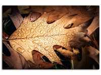 Artland Leinwandbild Herbstblatt mit Regentropfen, Blätterbilder (1 St), auf