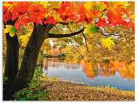 Artland Wandbild Herbsttag an einem ruhigen See, Gewässer (1 St), als Alubild,