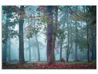 Artland Wandbild Nebel im Wald, Waldbilder (1 St), als Alubild, Outdoorbild,...
